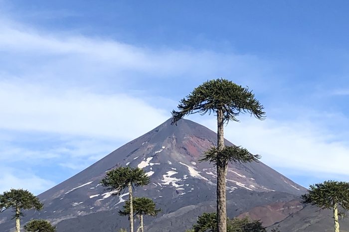 Tour Guiado| Ascenso Volcán Llaíma| 3.125M